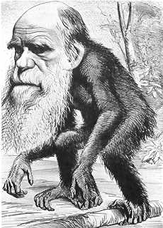 cartoon of Darwin as ape